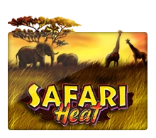 Safari Heat - NOLIMITSLOT777