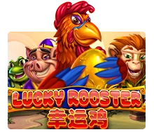 Lucky Rooster - NOLIMITSLOT777