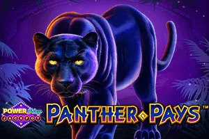 Panther Pays Power Play Jackpot - NOLIMITSLOT777